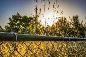 Chain Link fence in Davenport, Florida