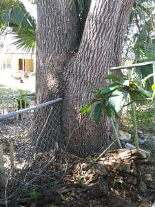 chain link fence contractor Polk City Florida