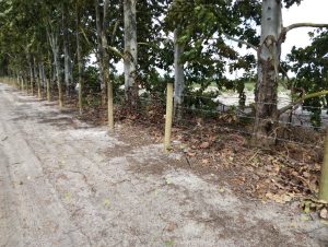 fence contractor Hains City Florida