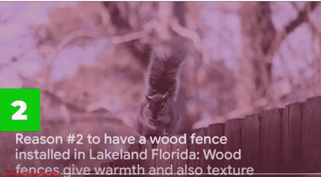 reason #2 to install a wood fence in Lakeland Florida